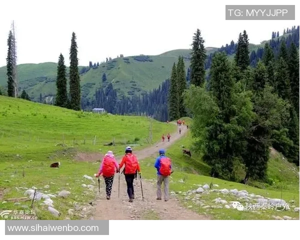 宁中乡足球比赛精彩直播回放全程回顾与精彩瞬间分享